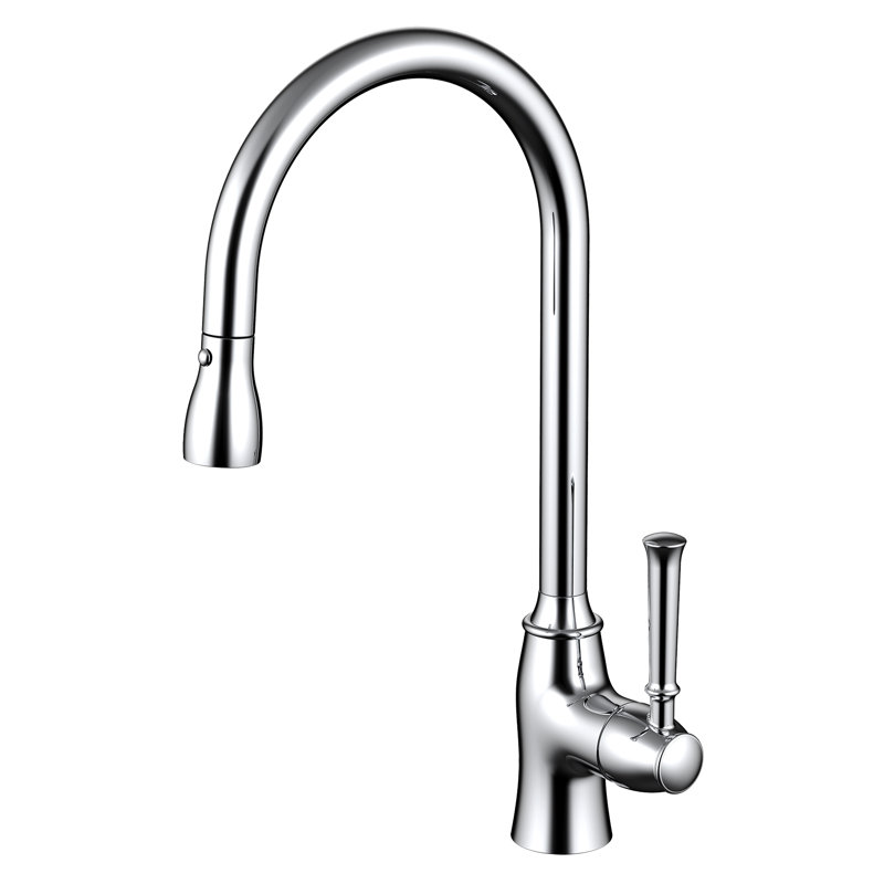 Valley Acrylic Ltd. Pull Down Kitchen Faucet