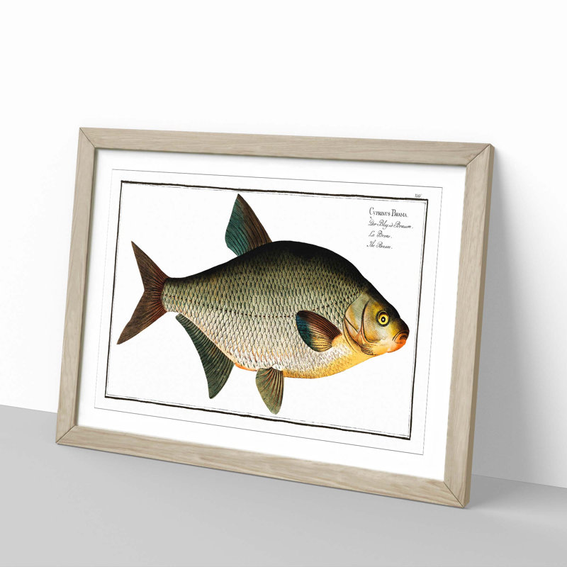 Bream Fish - Picture Frame Painting Print, Oak Framed, 62cm H x 87cm W x 2cm D