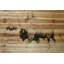 « bison troupeau walk », impression sur bois-20746543
