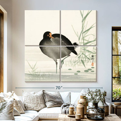 Brampt Moorhen