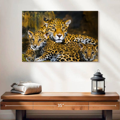 Bébé jaguar Brampt