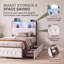 3ft Single Bed Frame with 2 Storage Drawers, Upholstered Platform Bed with Headboard & LED Light, Velvet Fabric Single Bed with Charging Station, Beige(90x190cm, UK Plug)-135723778