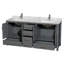 Sheffield 72'' W Double Vanity