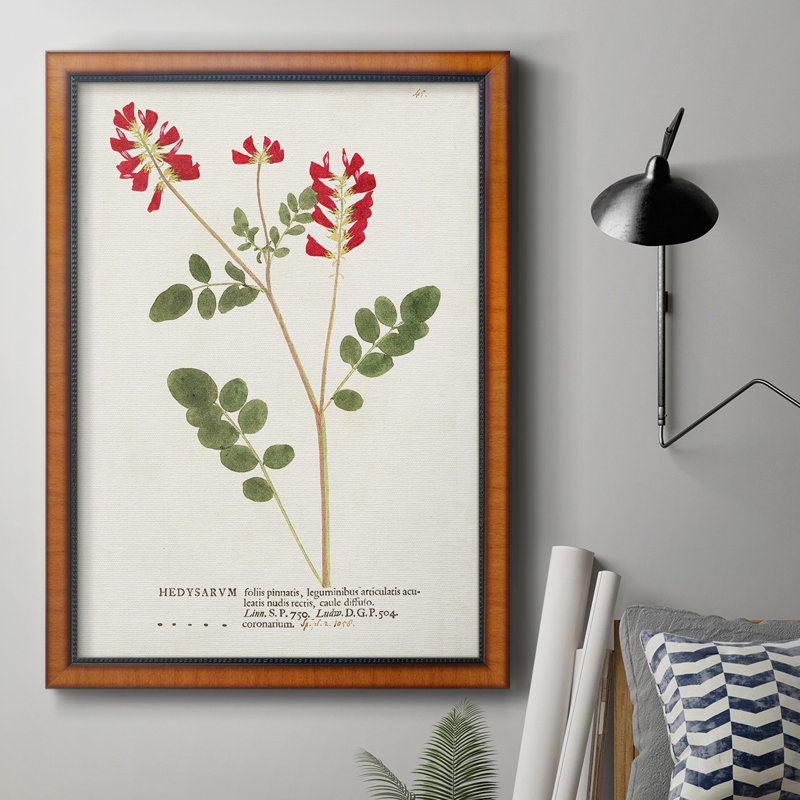 Nature imprimée Botanicals III, toile encadrée de qualité supérieure - prête à être accrochée, H 20 po x l 16 po x P 2,5 po