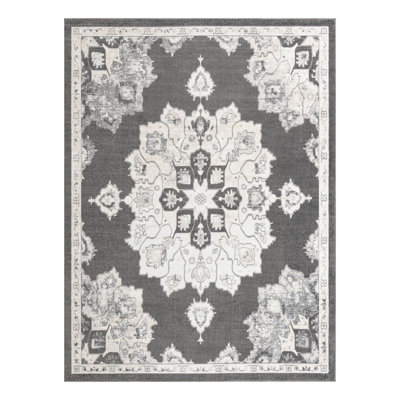 Oriental Indoor Rug