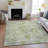 Machine Washable Indoor/Outdoor Oden ACN2163 Global Rug-1004475322