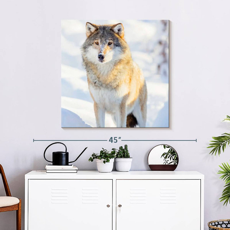 Brampt Winter Gray Wolf, 30" H x 30" W