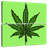 Senne Hash-109097665