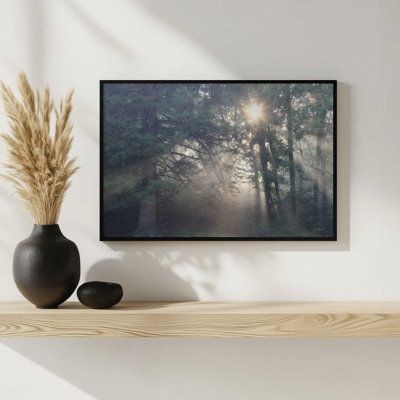 «Forest Rays of Light» par Lori Deiter, reproduction d'art