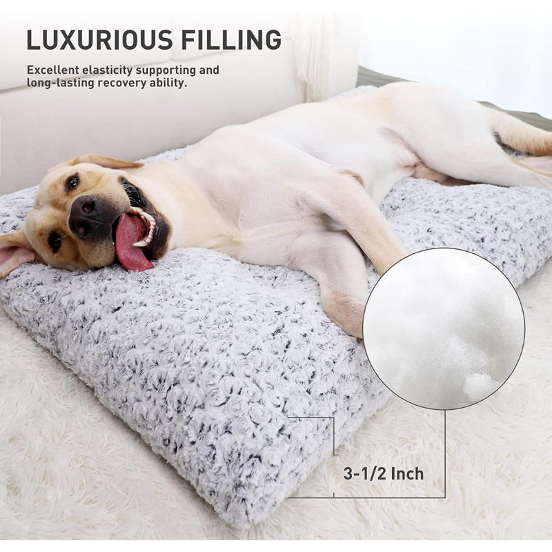 Gray Orthopedic Extra Large Plush Dog Bed