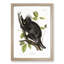 Canadian Porcupine by J.W. Audubon - Picture Frame Graphic Art Print-55680265-55680266