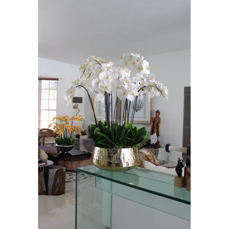 Roberi bowl with multiple stems of white Phalaenopsis orchids, 38" H x 22" W x 22" D, White
