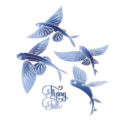 Graphic Flying Fish - Wrapped Canvas Print