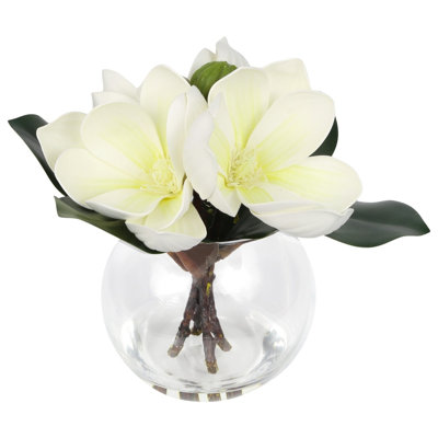 Magnolia Flowers Artificial In Glass Vase Realistic Magnolia Faux Flowers Arrangements In Vase With Faux Water Magnolia Home Decor