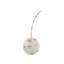 Sculpture en cerisier blanc vieilli D9X23 "-219058353