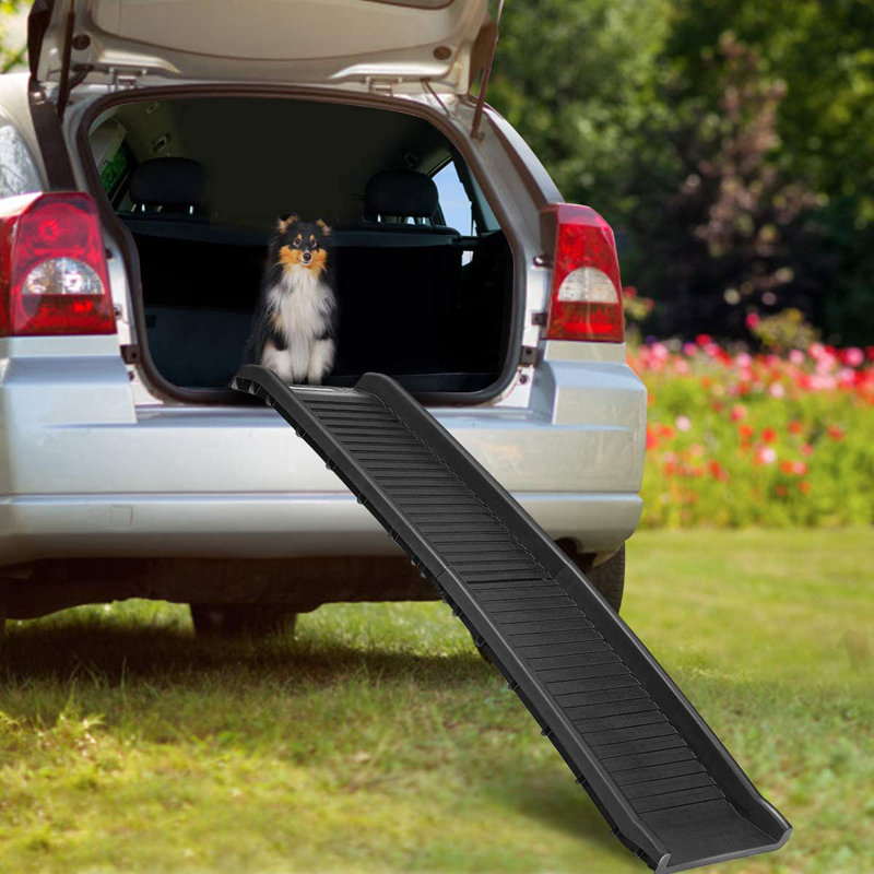 Diemer Collapsible Ramp