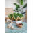 19.7x10.6x5.5" Decorative Shell Bowl