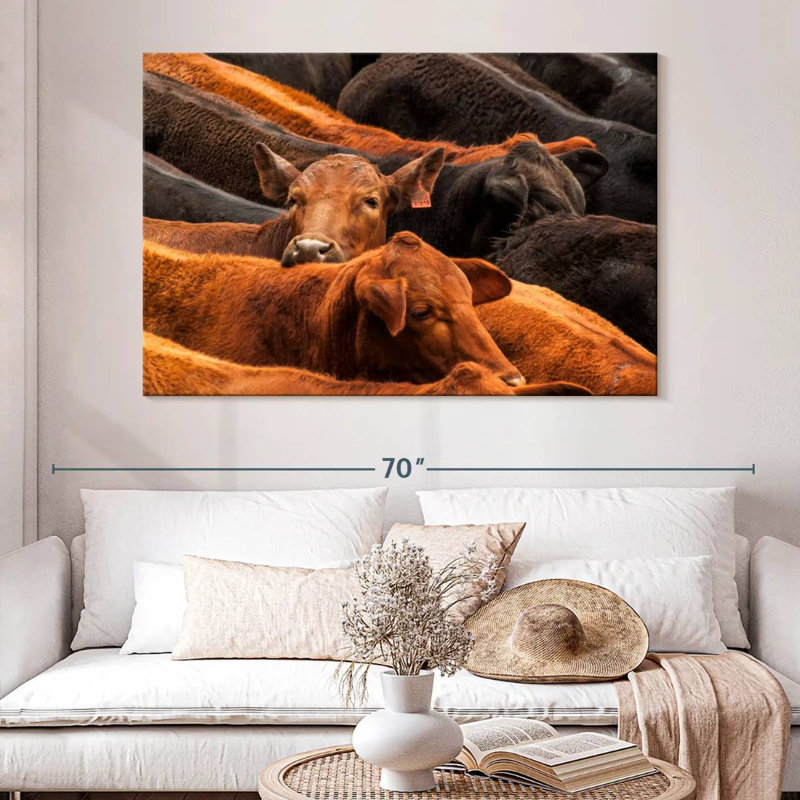 Brampt Beef Cattle, 34" H x 51" W