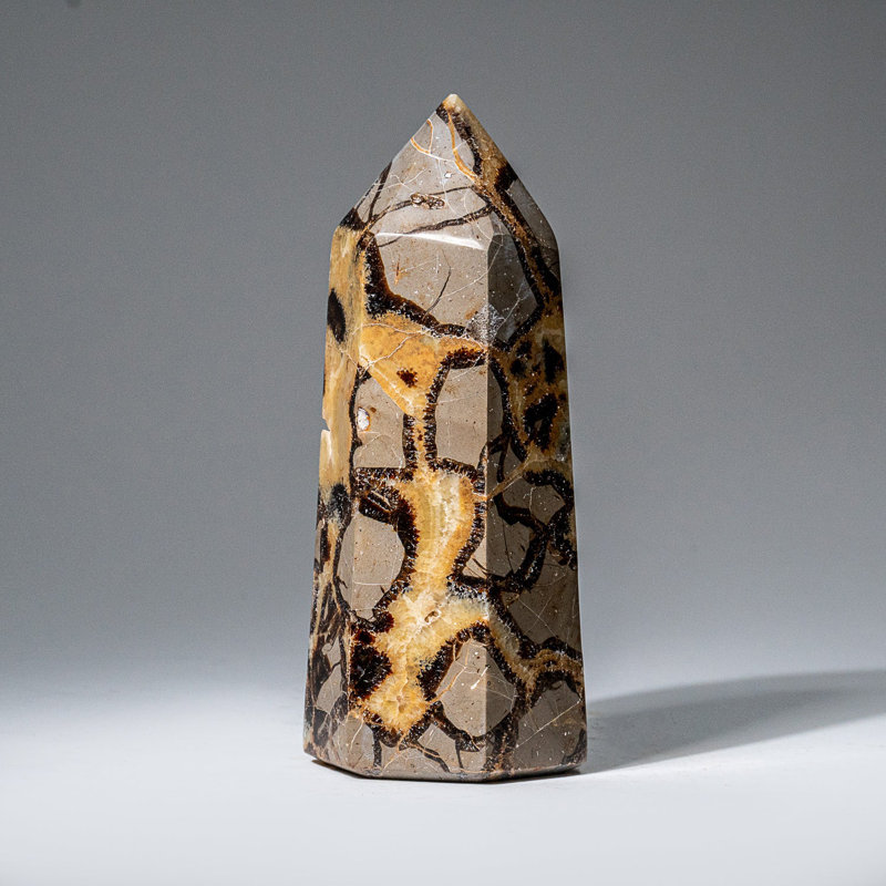 Genuine Polished Septarian Point from Madagascar (1.3 Lbs)