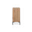Kailyne 2 -Door Accent Cabinet