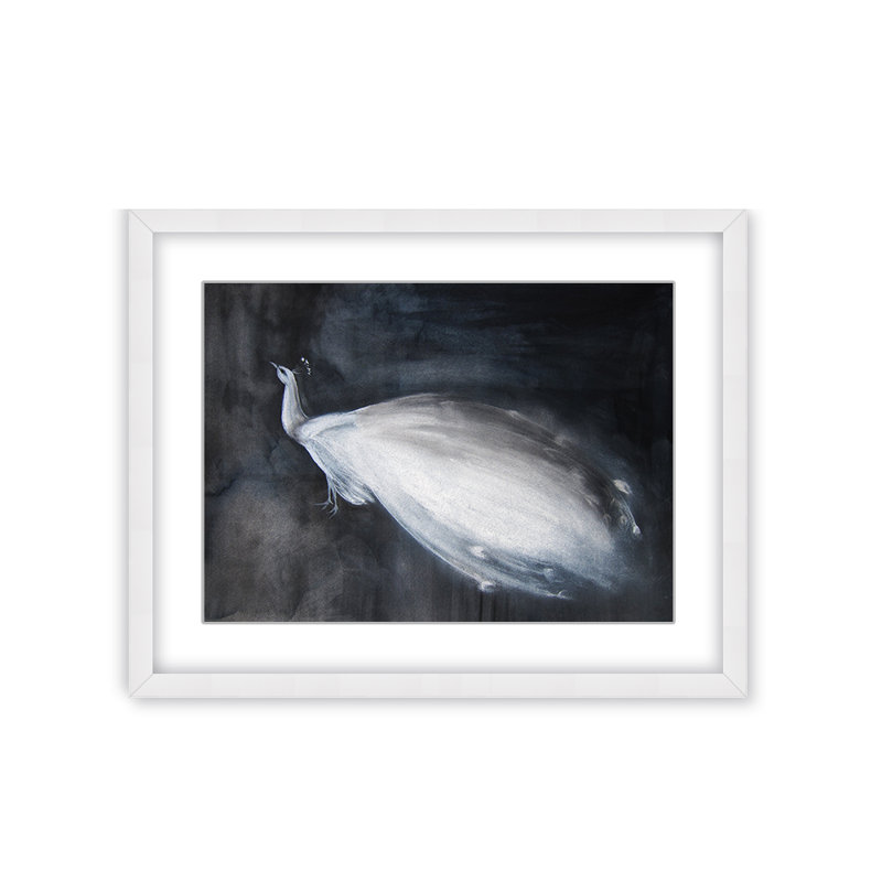 Nature Inspired Portrait Of A White Peacock On Black Background, 36" H x 48" W
