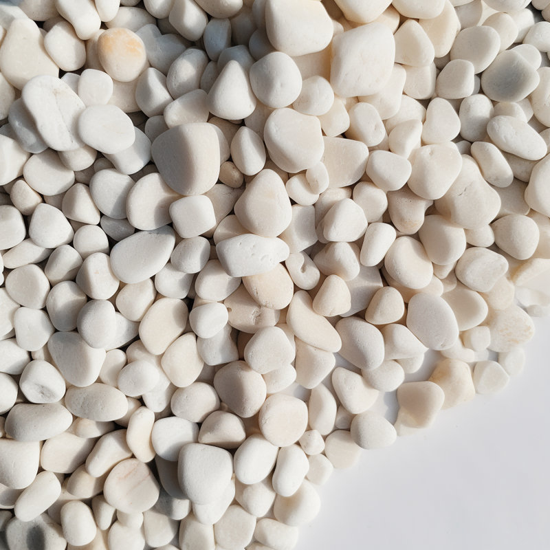 12 LBS River Rock, galet moyen pour aménagement paysager, jardin et aquarium, Blanc