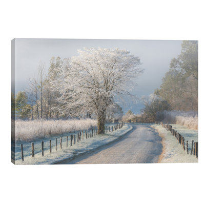 A Frosty Morning by Chris Moore - Wrapped Canvas Print