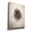 «Nest I» par Debra Van Swearingen, art mural sur toile-1579053155