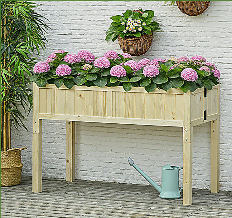 Jardinière surélevée avec jardin