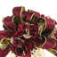 Burgundy Hydrangea With Bow Holiday Arrangement