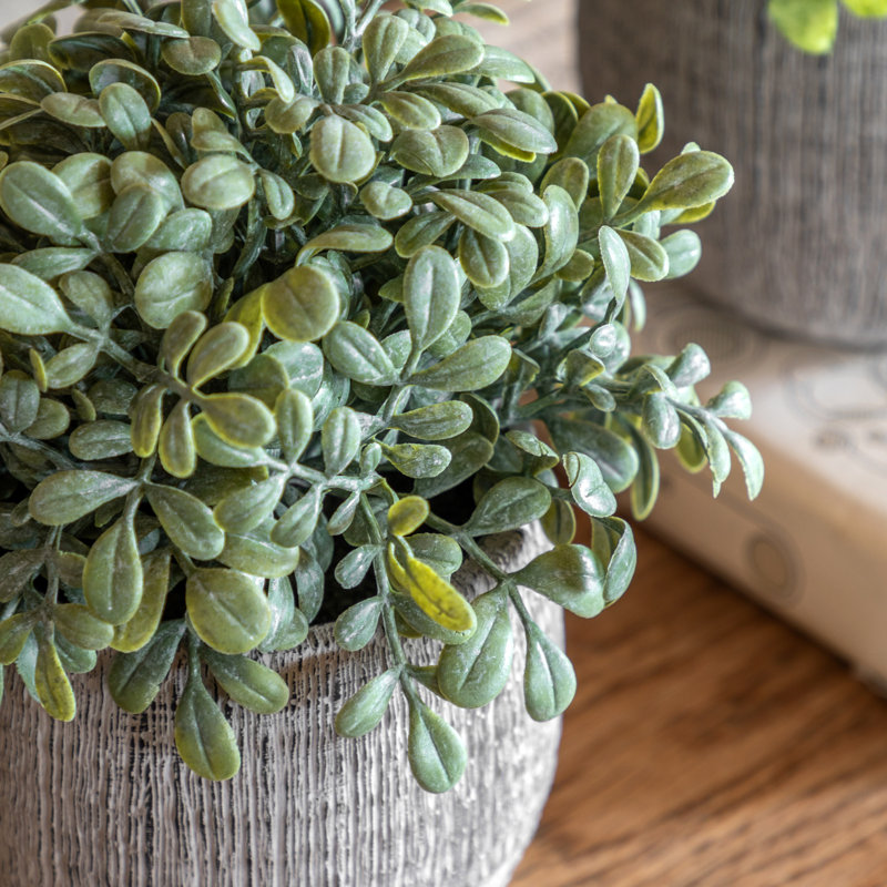 Potted Plant Ceramic Scratch Pots Sage