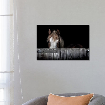 Peek a Boo par Paul Neville - Photographie sur toile tendue