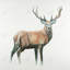 Reproduction de cerf sur toile-27975062-101320652