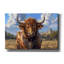 «Bull In The Country» par Momart, art mural sur toile, 18 po x 12 po-1637986740