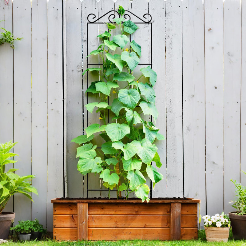 122cm H x 30cm W Metal Gothic