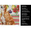 Serviette de cuisine Red Greyhound-322069521