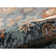 Dovey Classic Durable Performance Indoor Area Rug