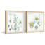 « plante pair diptych », ensemble de 2 reproductions encadrées-26196277