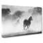 Horses - Wrapped Canvas-56635291
