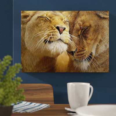 Cuddling Lions Photographic - Wrapped Canvas
