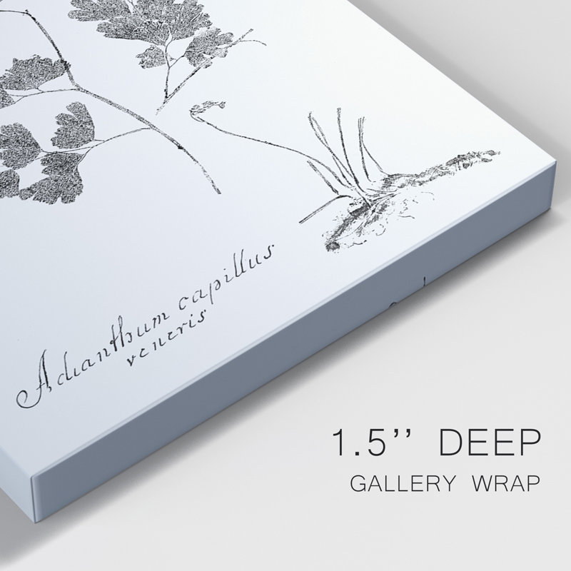 " Botanical Imprint I " 3 - Pieces Painting Print, 36" H x 24" H x 1