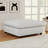 Nuccio 38.6" Wide Oversize Minimalist Chenille Soft-Upholstered Square Standard Ottoman-112547594