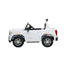 2 places 24 V GMC Denali-69437495