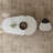 Minimalist Style Coffee Table Set