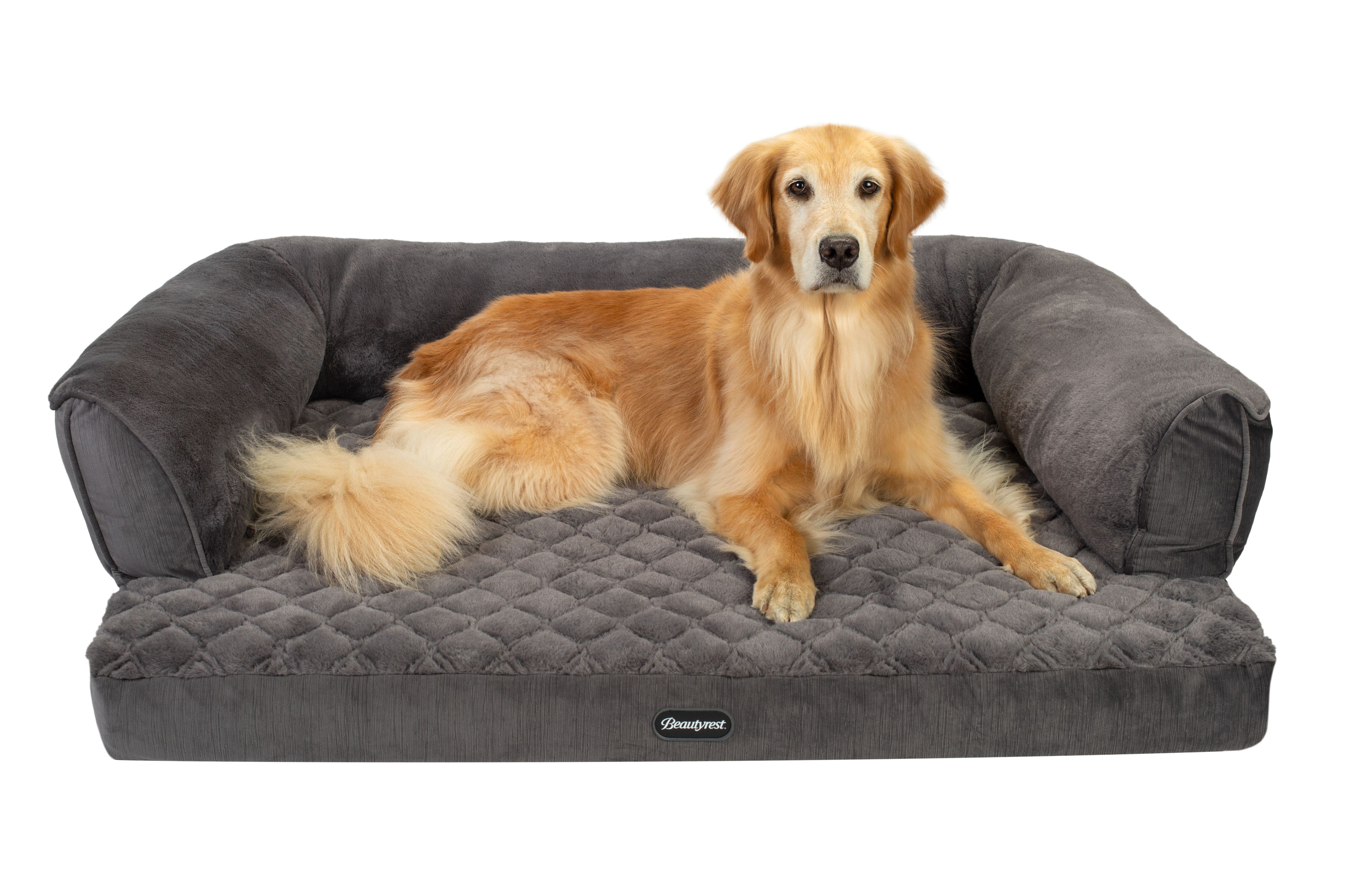 Beautyrest Super Lux Bolster Pet Bed & Reviews | Wayfair