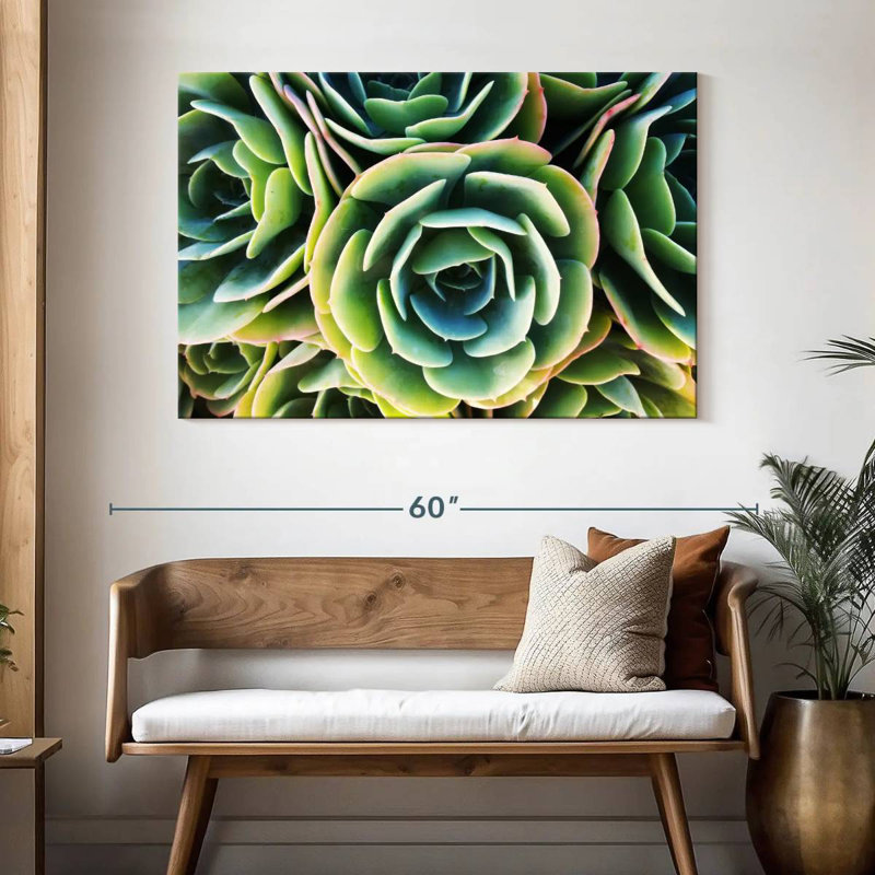 Rose succulente Harnek, H 32 po x l 48 po