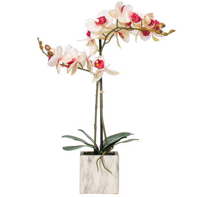 Phalaenopsis artificiel en pot 22 po Karelis