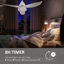 Nagma Ceiling Fan with Light Kit