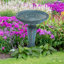 Espino Bird Bath-1064756561