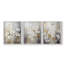 Floral Study  Series  XCVI  -Set Of 3 Framed Giclee Prints -Ready to Hang-107253820-107253822